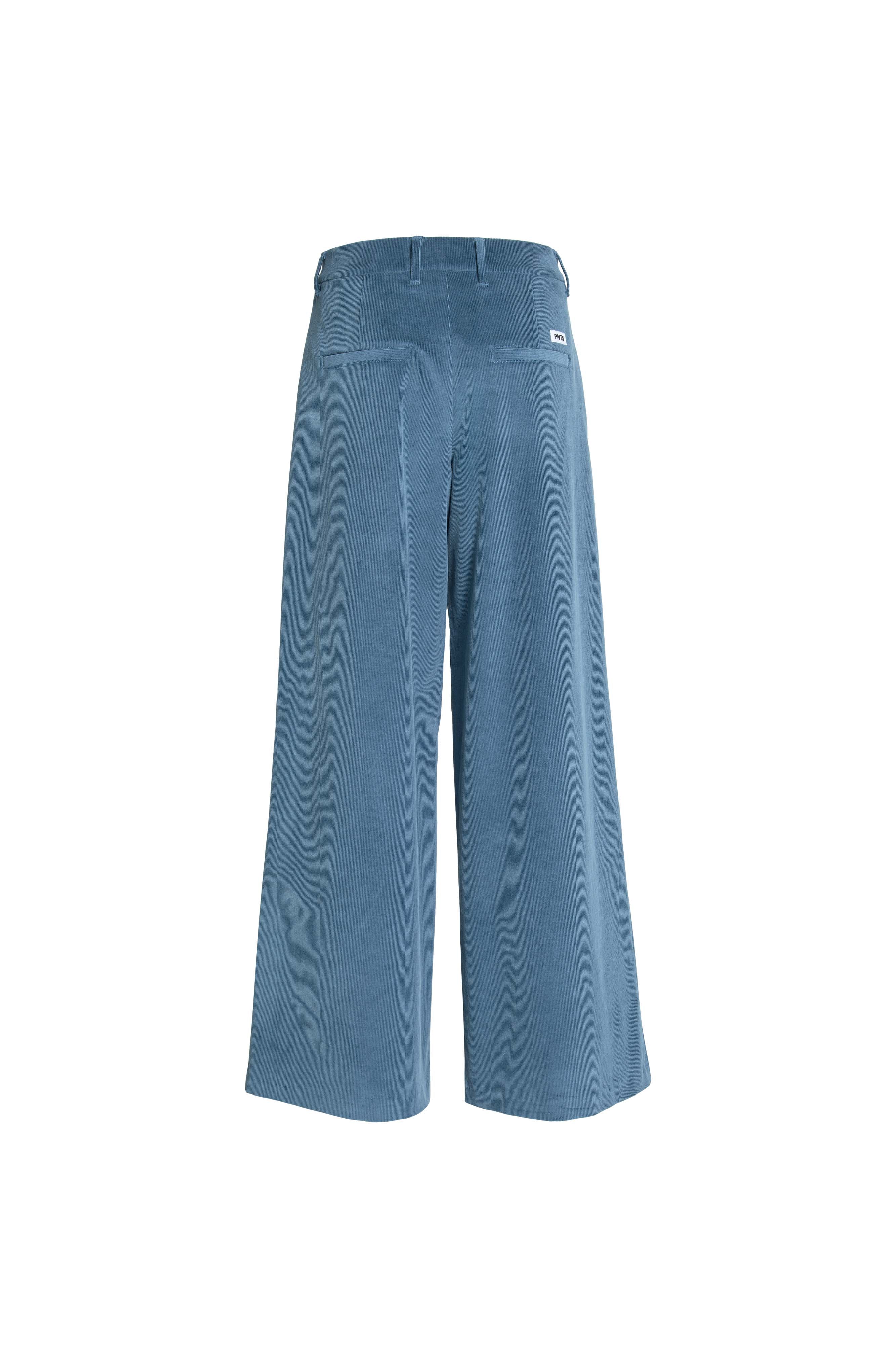 Freisteller Hinteransicht: 14_THE GENT CORD in mittelblau 